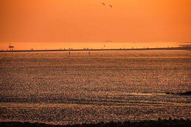 wadden